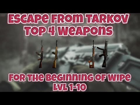 Top 4 Weapon Builds for Levels 1-10 | Post Wipe Player Builds & Gear - Escape From Tarkov