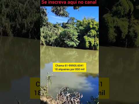 Fazendinha muito boa em Padre Bernardo GO #brasil #agro #fazenda #gado #padrebernardo