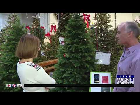 Treetime & WGN Magic Fir Showcase