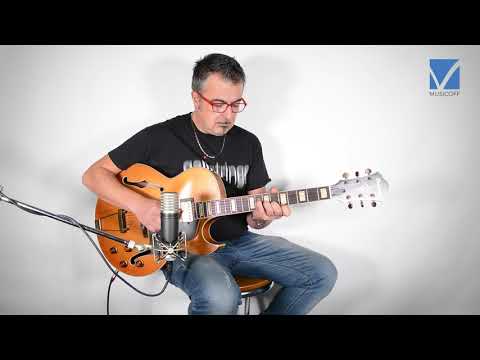Hollow, Semi-Hollow and Archtop Guitar Comparison