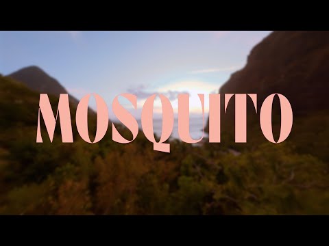 Video thumbnail for Mosquito