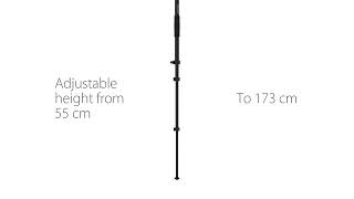 Foldable survey pole TS180