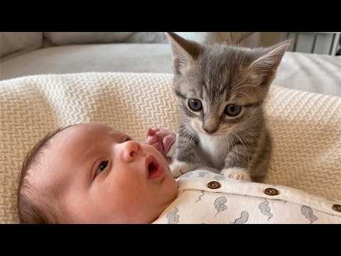 YouTube 썸네일