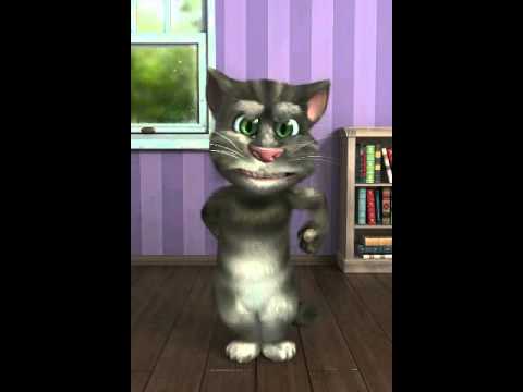 Talking Tom 2 getting beat up and fighting back