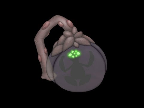 Spytrap Full Song Monster Sounds! - My Singing Monsters