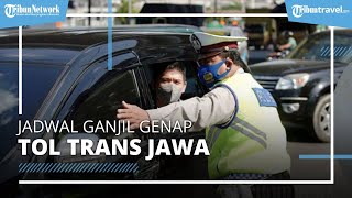 Mudik Lewat Tol Trans Jawa Ada Aturan Ganjil Genap, Catat Jadwalnya