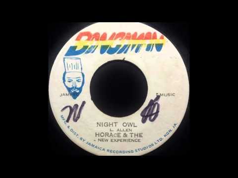 HORACE & THE NEW EXPERIENCE - Night Owl [1972]