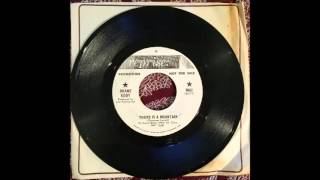 Duane Eddy - There Is A Mountain b/w This Town