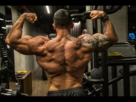 MINIKOX TRENING PLECÓW / SUPLEMENTACJA / MOTYWACJA