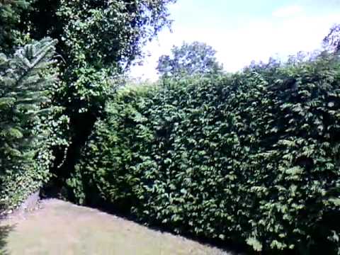 Modecom FreeTab IPS X2 - obraz nagrany kamerką z przodu