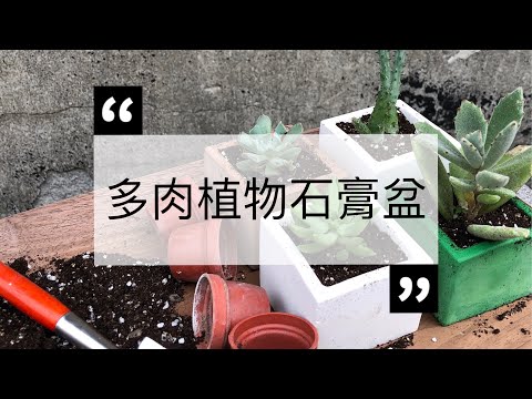 石膏盆自己做
