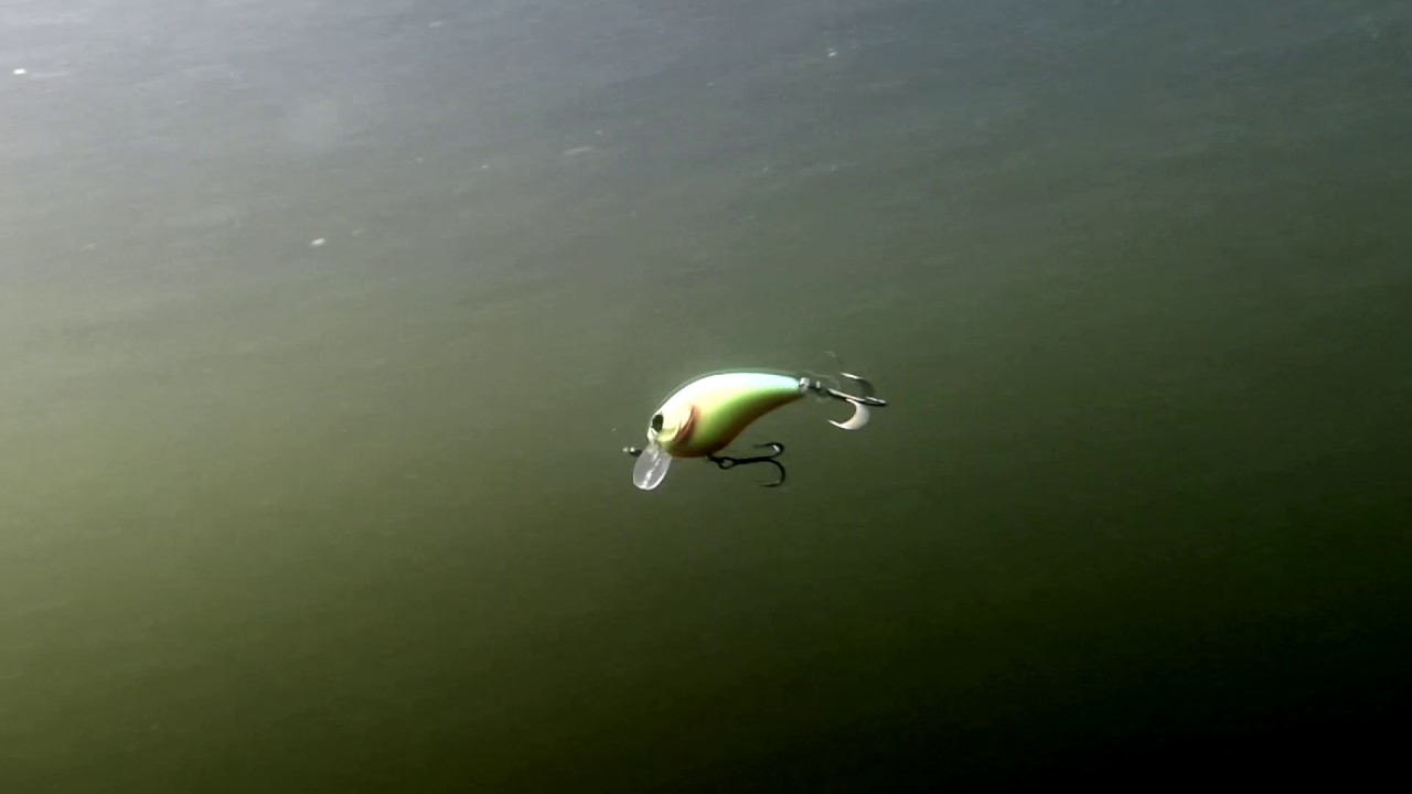 Jackall Mushbob 50MR Crankbait video thumbnail