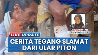 Ular Piton Lilit & Gigit Haris Warga Baadia Baubau Sulteng, Lolos dari Maut Melawan Pakai Parang