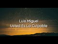 Luis Miguel - Usted Es La Culpable | Lyrics