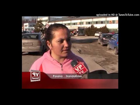 MIAI - Poiana... Trandafirilor 🌹 (prod.xopurpp x prod.HARZ)