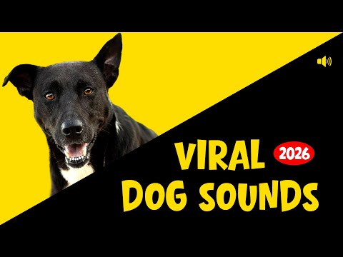 25 Viral Dog Sounds - How Will Your Dog React? 🐶