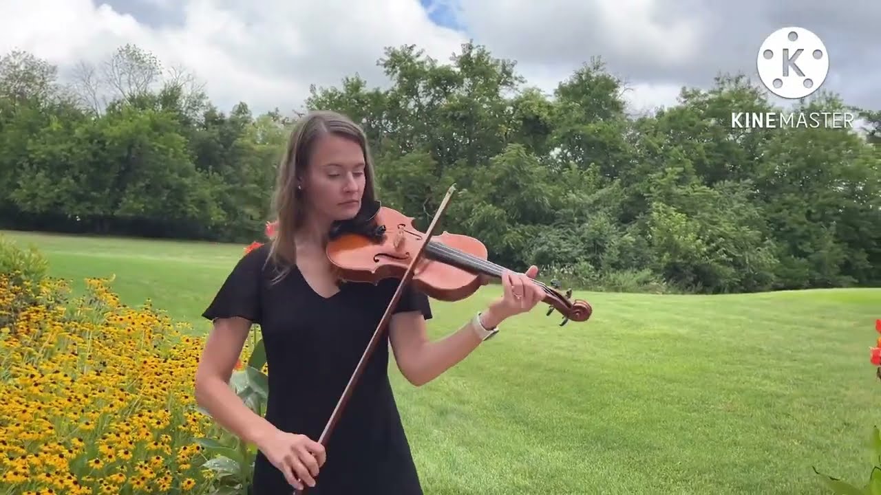 Promotional video thumbnail 12 for Windy City Strings