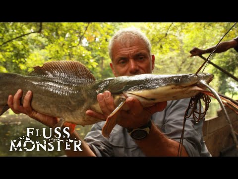 Der Kamba-Wels: Die schreckliche Legende von Mami Wata | S2 E06 | Fluss Monster