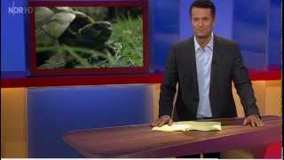 🐢 Schildkröten Interview Mit Volker Mittmann von RSH in der "Wach-Mittmann Show"