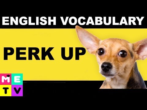 English Vocabulary | Perk Up