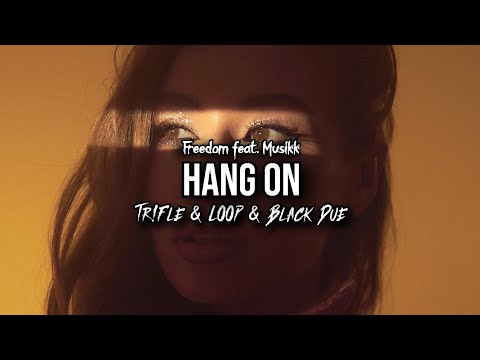 FREEDOM feat. MUSIKK - Hang On