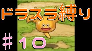 テリーのワンダーランド　ドラスラ縛りでゆっくり実況♯10
