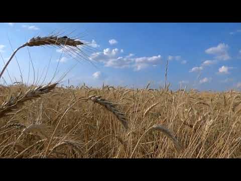 Cântare creștină cu versuri "Am brațele acestea" - Mariana Someșan & Carmen