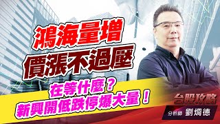 鴻海量增價漲不過壓，在等什麼？ 新興開低跌停爆大量！｜台股攻略｜劉烱德 (圖)