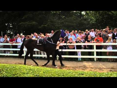 MS Racing Danish Derby 2015