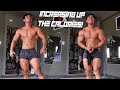 INCREASING UP THE CALORIES | CHALLENGE IN BULKING | SIZING UP