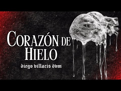CORAZÓN DE HIELO - Diego Villacis DVM (Audio Oficial)