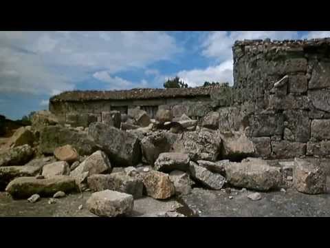 Unidade Cinotécnica BV Lagares (max)