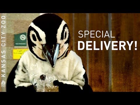 A Gift for Your Zoo Lover...