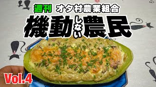 第４話「偽ズッキーニと毛虫と創作グラタン」