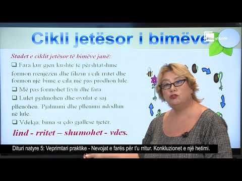 Veprimtari praktike: "Nevojat e farës për t'u rritur" | Dituri Natyre 5