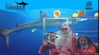 DIA 3 Expo Tiburon97