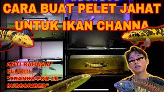 Download lagu CARA MEMBUAT PELET JAHAT UNTUK IKAN CHANNA ‼️PELET CAROPHYL ‼️ -#chanamaruyellowsentarum #channamaru mp3