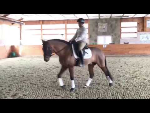 Sons of the Wind Presents Galant HM