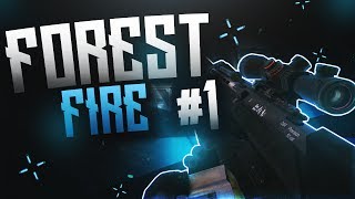 Forest Fire #1