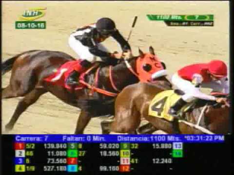 Resumen Sábado, 08 de Octubre de 2016 - La Rinconada