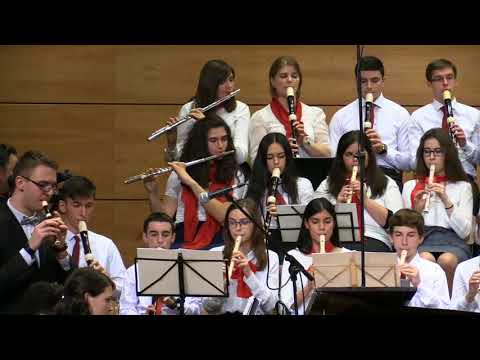 Orchestra Nationala de Blockflote