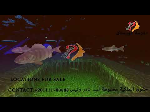 ⁣Egypt Under Water flythrough 02