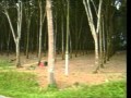 03 Kampungku