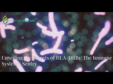 Unveiling the Secrets of HLA-DRB1: The Immune System's Sentry