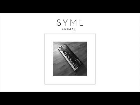 Video thumbnail for Animal