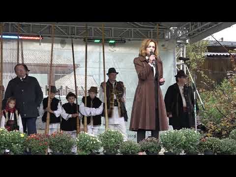 „Drumul lemnului” în Câmpulung Moldovenesc