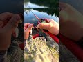 Video Thumbnail for Lost my First Smallmouth Bass in BC (Daiwa Salamandura SV TW 70) #smallmouth  #bassfishing #daiwa