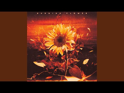 Burning Flower