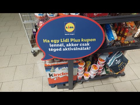 Lidl party x Koósz Milán 2025