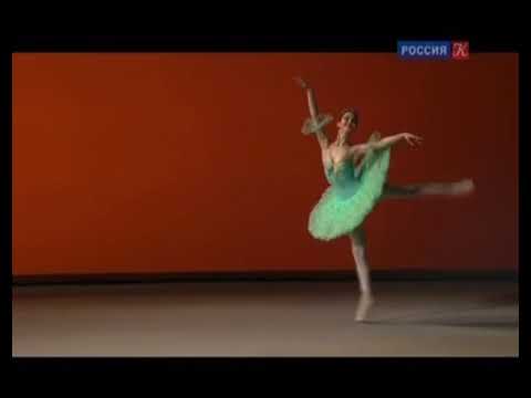 Promotional video thumbnail 2 for Anischenko Ballet